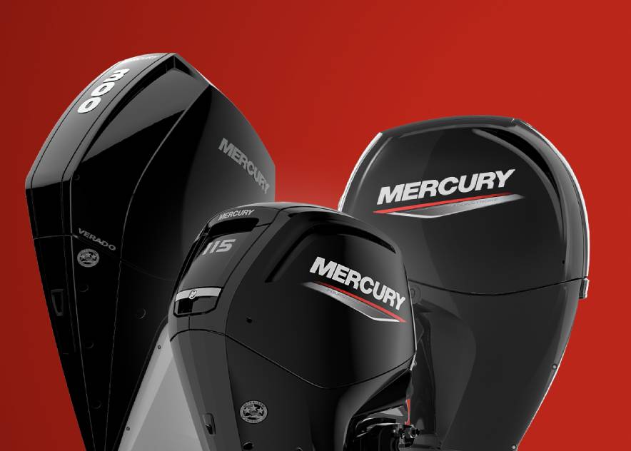 Go to public-mercurymarine.sysonline.com (Default subpage)